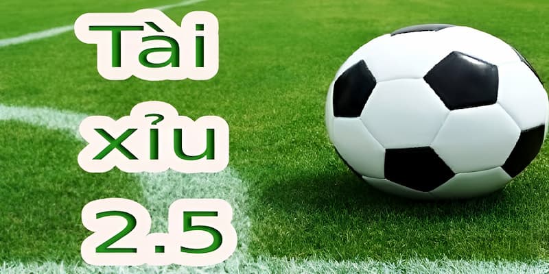 Kèo tài xỉu 2.5 nghĩa là gì Cách soi và áp dụng thực tế kèo tài xỉu 2.5 nghĩa là gì