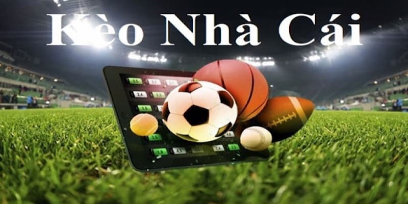 Kèo nhà cái Ngoại hạng Anh Chiến lược đọc kèo nhà cái Ngoại hạng Anh hiệu quả
