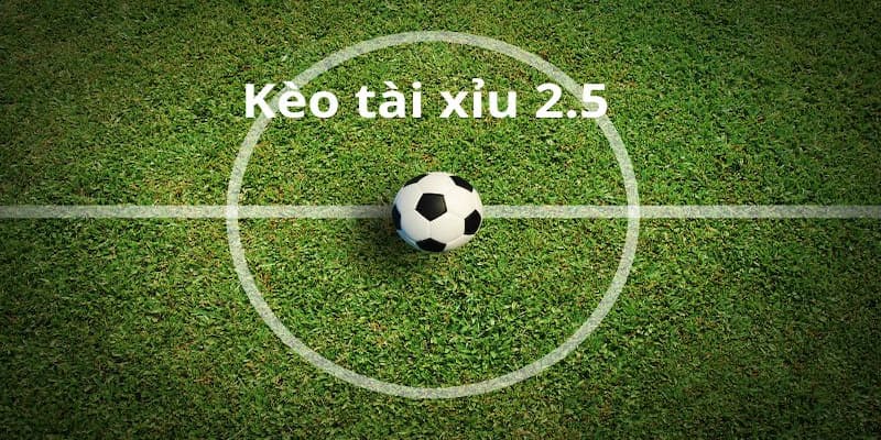 Kèo tài xỉu 2.5 nghĩa là gì Hiểu rõ bản chất của kèo tài xỉu 2.5 nghĩa là gì?