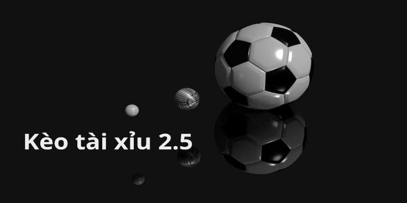 Kèo tài xỉu 2.5 nghĩa là gì
