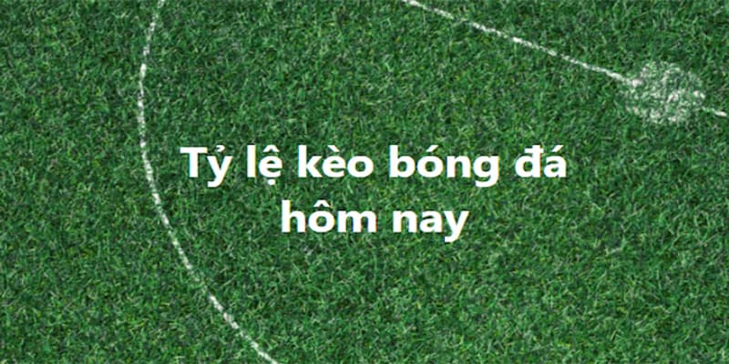 kèo nhà cái Khái niệm và vai trò của kèo nhà cái