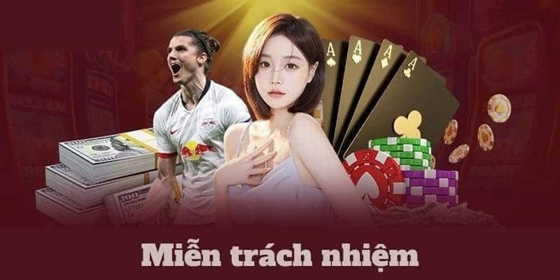 miễn trừ trách nhiệm Nội dung phổ biến trong tuyên bố miễn trừ trách nhiệm